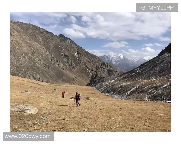 足球巨星Love：从草根到巅峰的传奇之路与未来展望