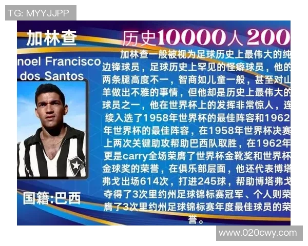 足球巨星们的私下爱好揭秘 看看他们场外的另一面 足球巨星们的私下爱好揭秘 看看他们场外的另一面